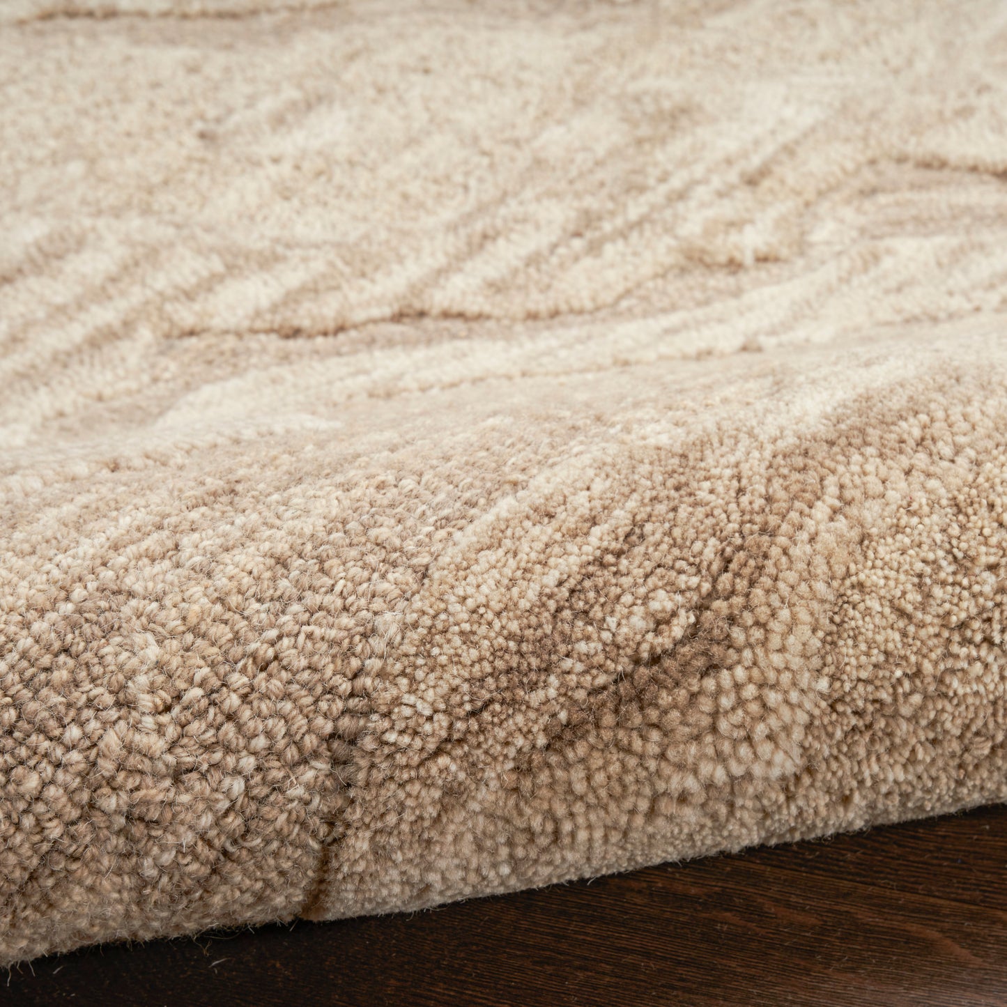 Beige shag rug with dense plush pile and soft loops on dark wood floor.
