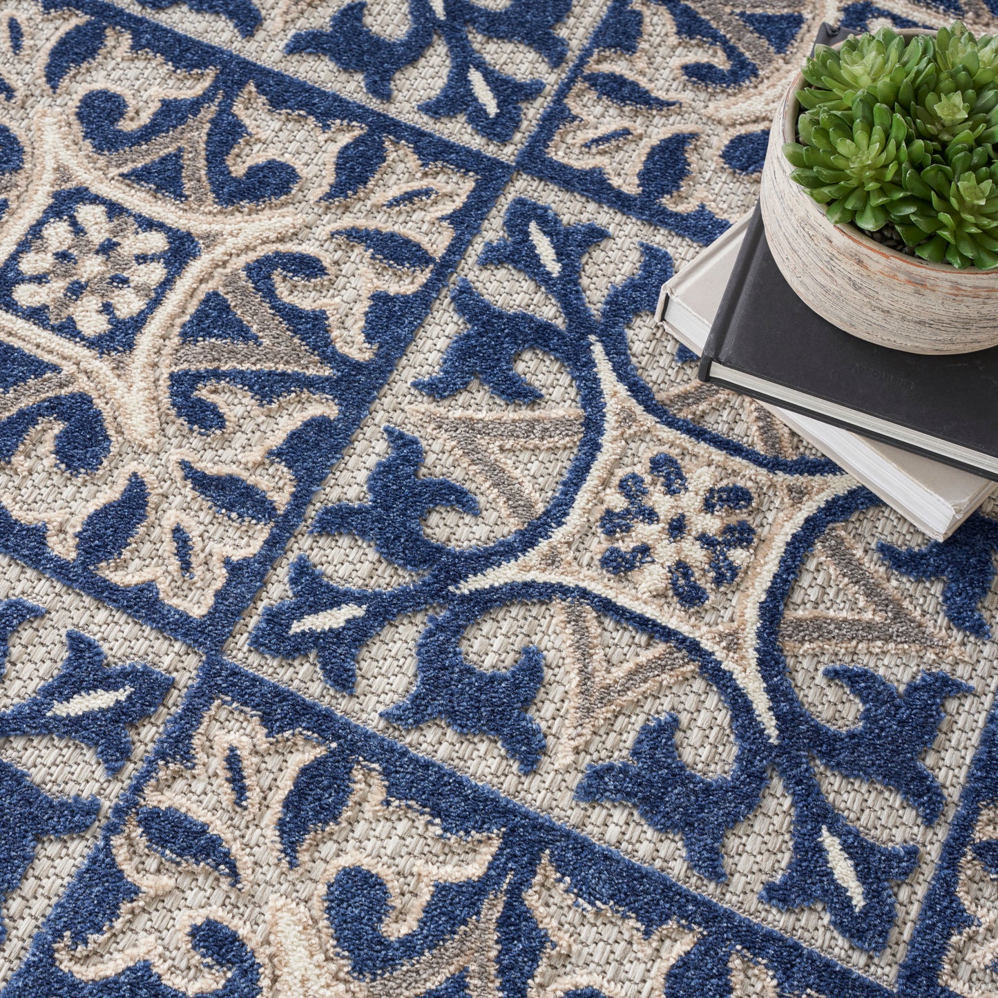 Blue and beige ornate flat-weave rug with a textured pattern; books and a potted succulent rest on it.