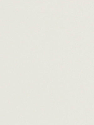 Robert Allen Leiden B/O 54 | Ecru  Drapery     - 066178