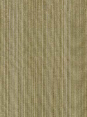 Robert Allen Tanjore | Willow  Multipurpose     - 068585