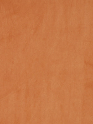 Robert Allen Novasuede | Spice  Upholstery     - 068838