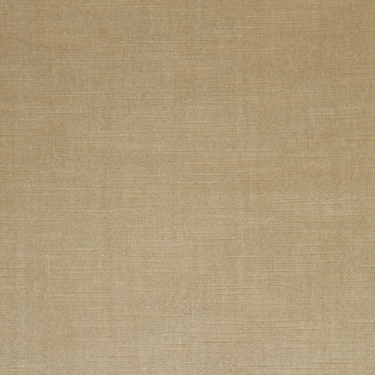 Robert Allen Savoy | Pongee  Upholstery     - 082251