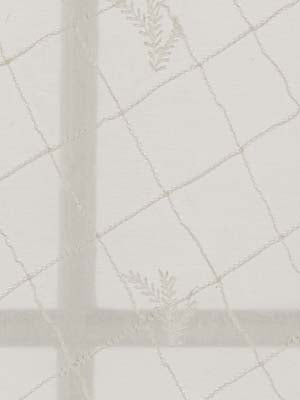 Robert Allen Malchang | White  Drapery     - 086102