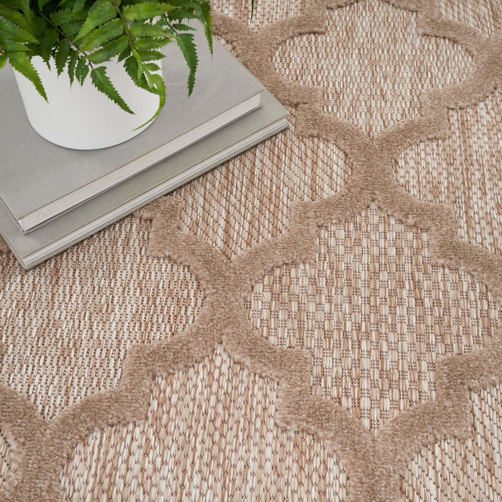 Beige trellis-pattern woven rug with raised loops; plant in white pot and stacked magazines in corner.