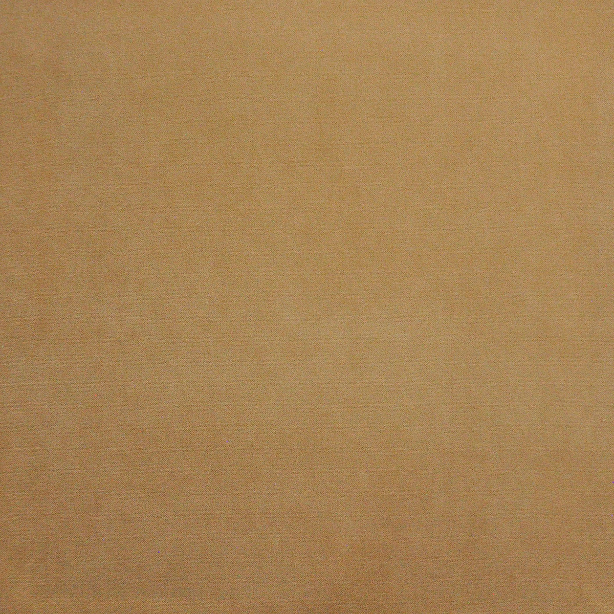 MAXWELL FABRICS  INDOOR,OUTDOOR  # 422 COOKIE   - PAD422
