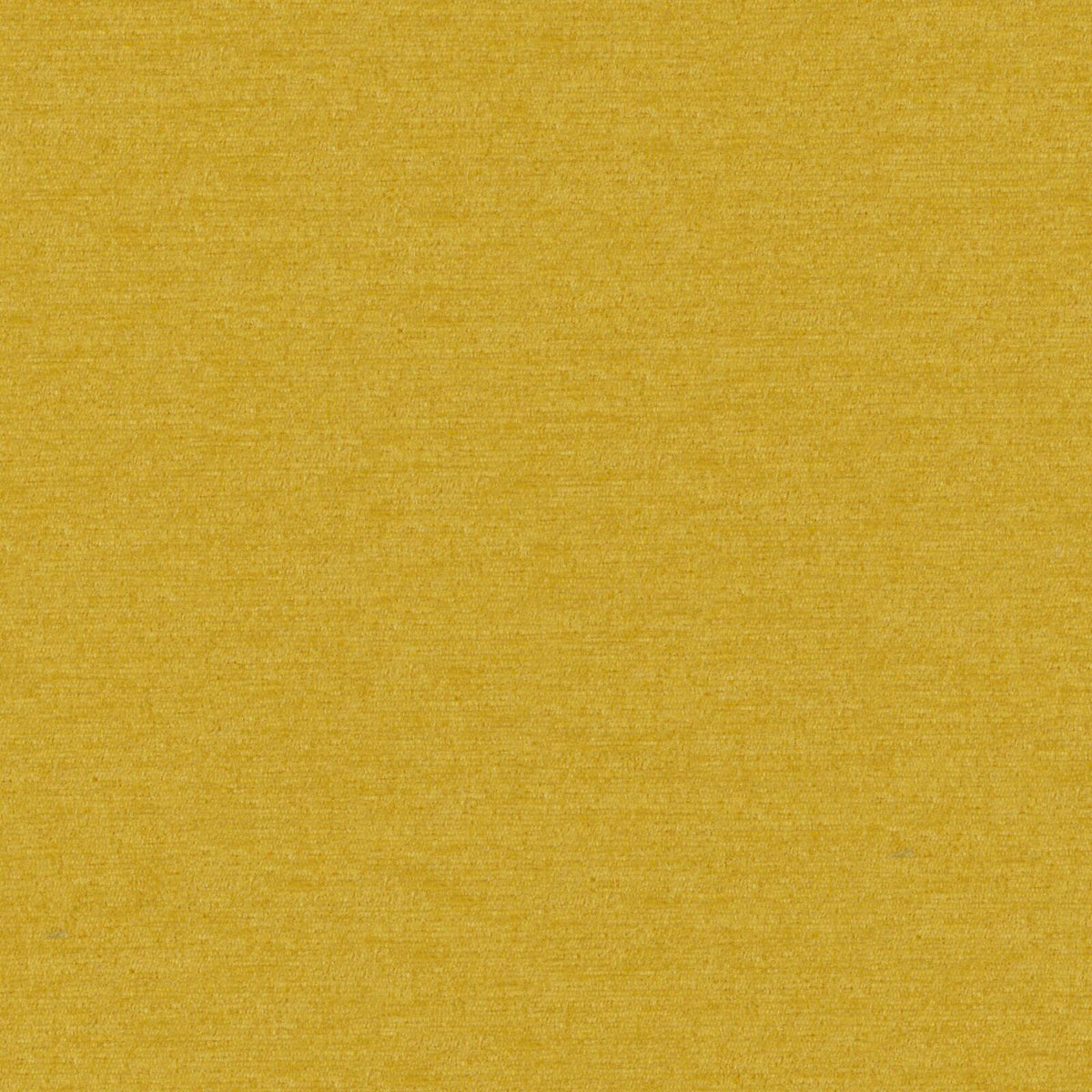 MAXWELL FABRICS  CHENILLES SOLIDS,TEXTURES  # 902 GOLD   - PZ7902