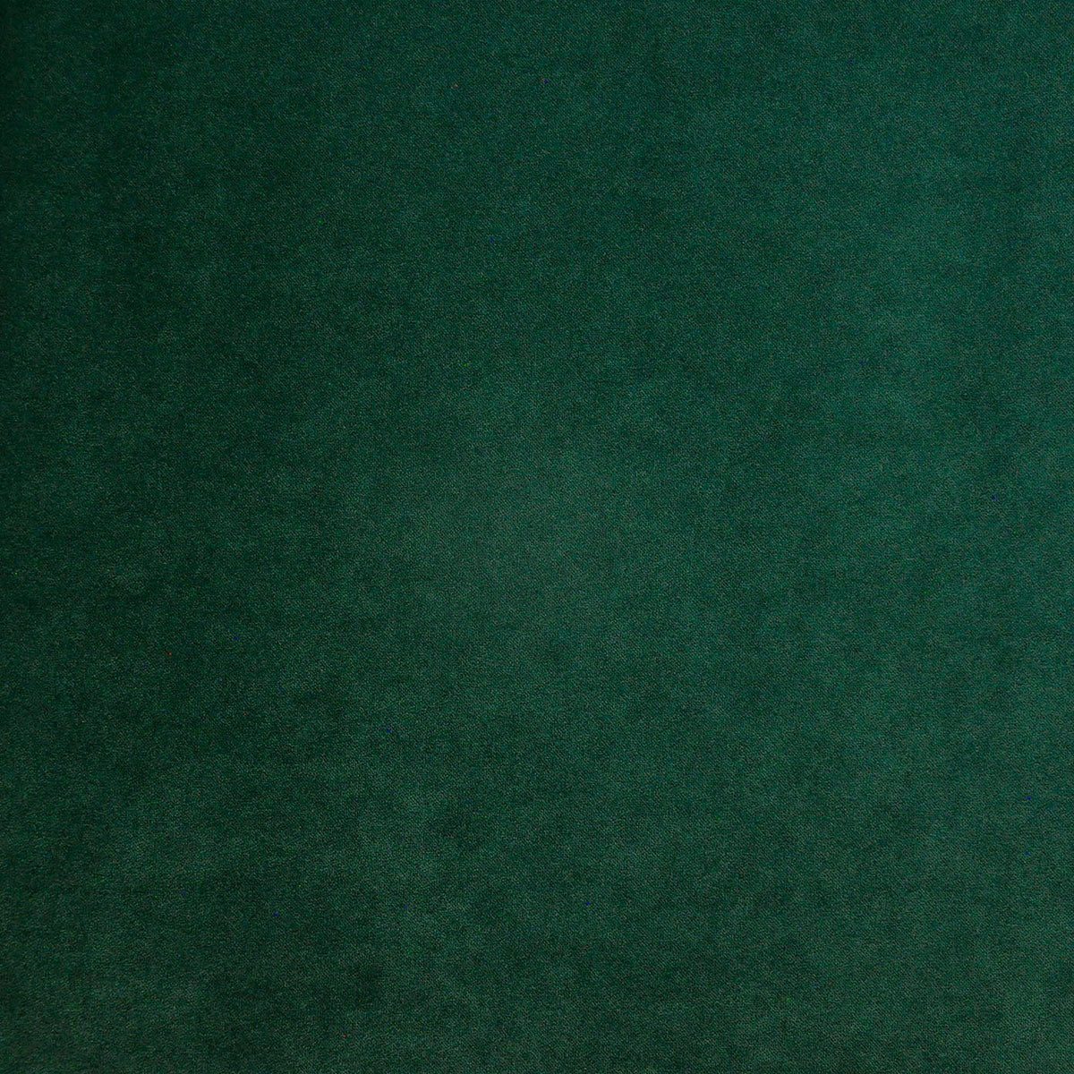 MAXWELL FABRICS  INDOOR,OUTDOOR  # 417 HUNTER   - PAD417