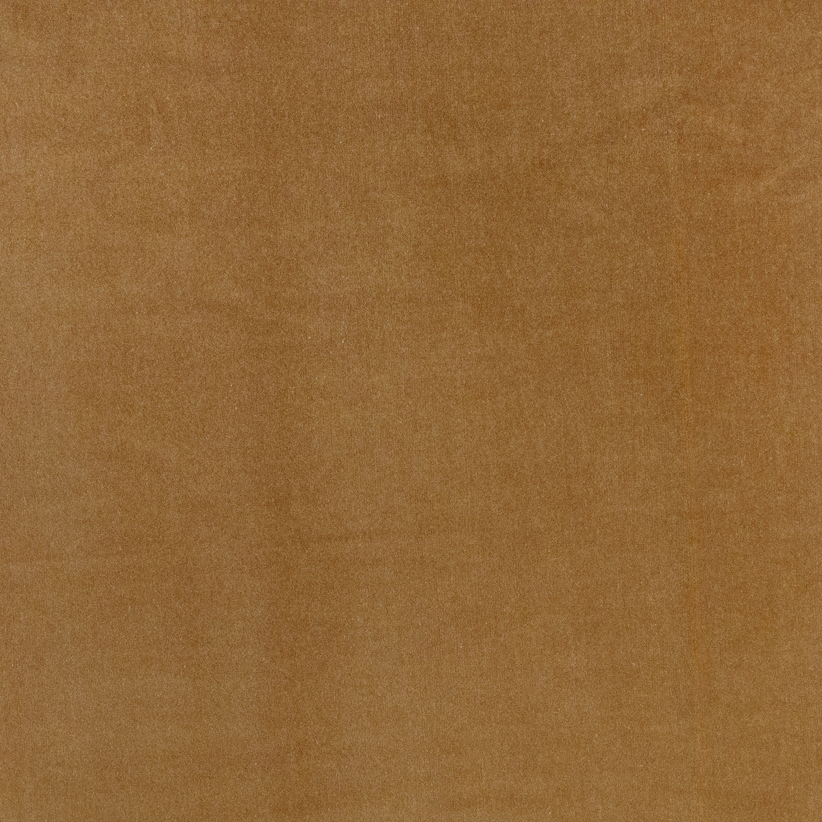 MAXWELL FABRICS  VELVET SOLID,TEXTURE  # 705 BUTTERSCOTCH   - BFN705