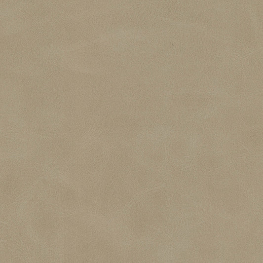 MAXWELL FABRICS  FABRIC  # 829 MOREL   - K96829