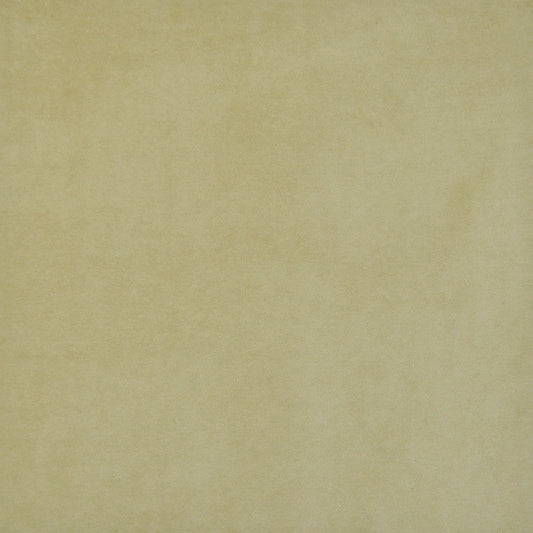 MAXWELL FABRICS  VELVET SOLID,TEXTURE  # 420 MOSS   - SIE420