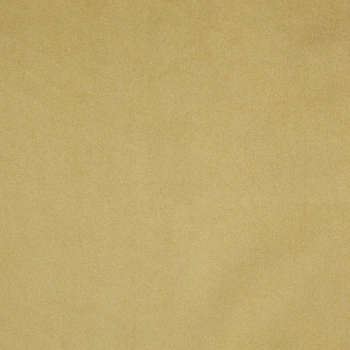 MAXWELL FABRICS  VELVET SOLID,TEXTURE  # 18 HAY   - BCX018