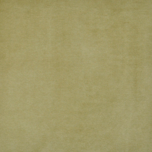 MAXWELL FABRICS  VELVET SOLID,TEXTURE  # 421 OLIVE   - SIE421