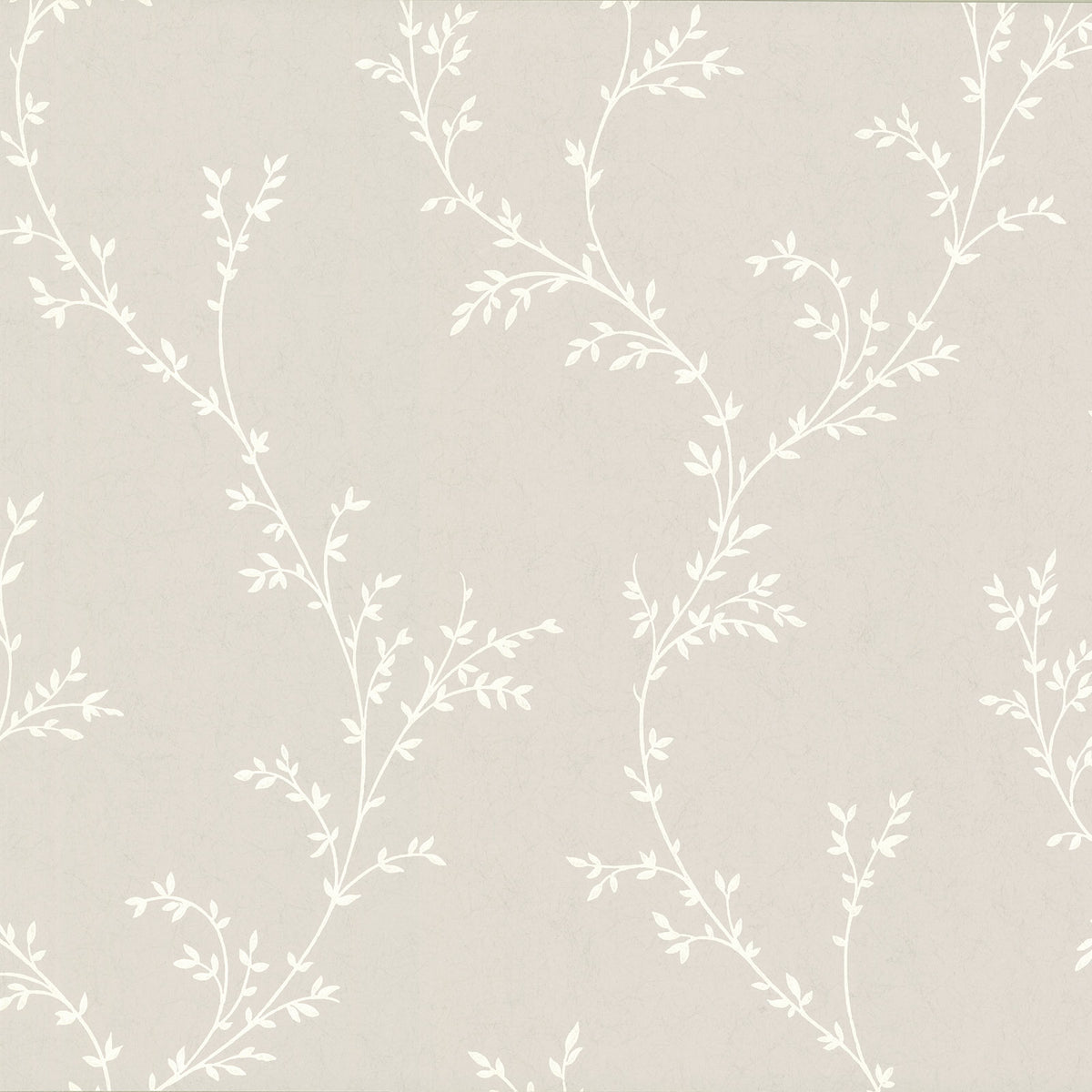 MAXWELL FABRICS  WALLPAPER - WP  # 05   - 160110305