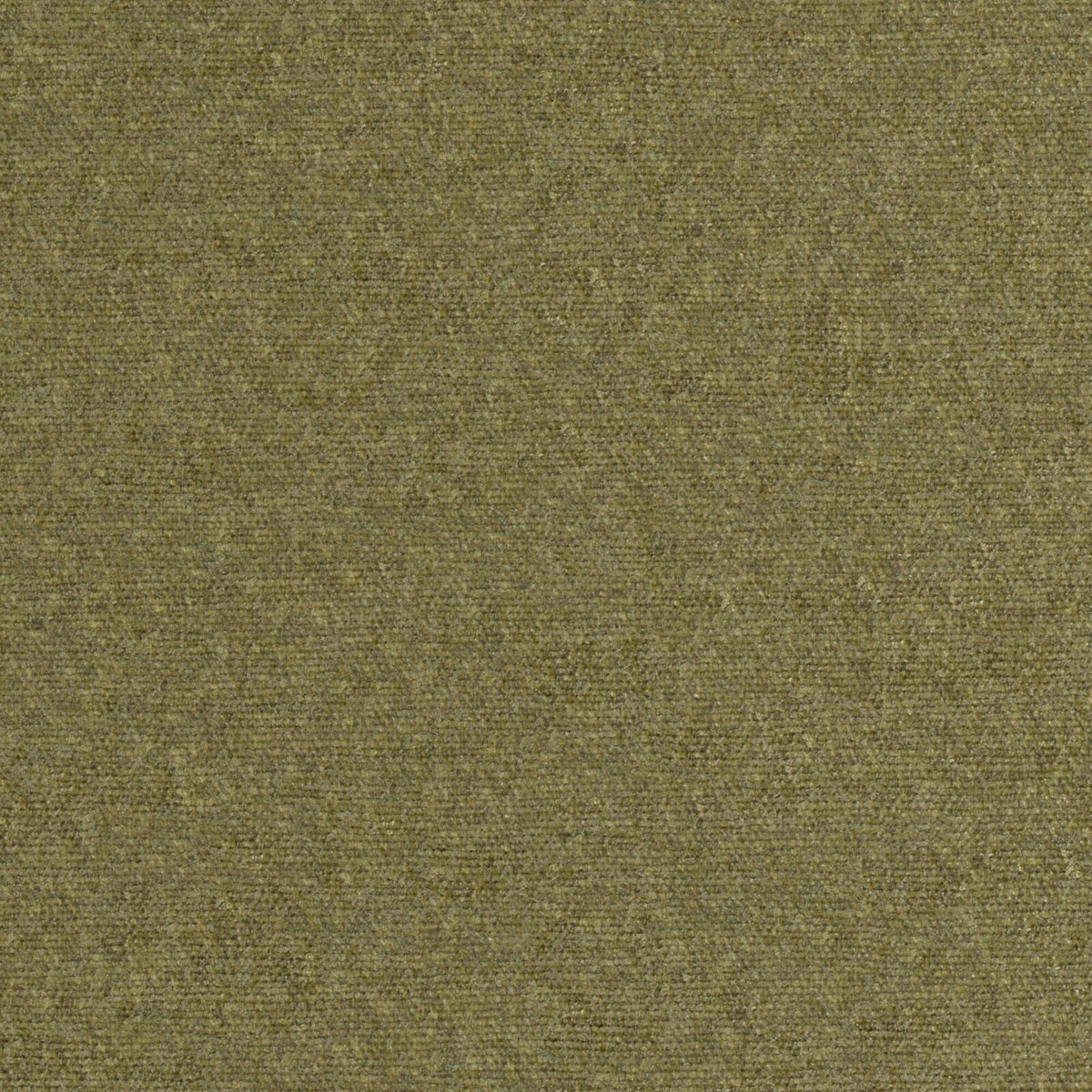 MAXWELL FABRICS  CHENILLES SOLIDS,TEXTURES  # 813 MOSS   - RP0813