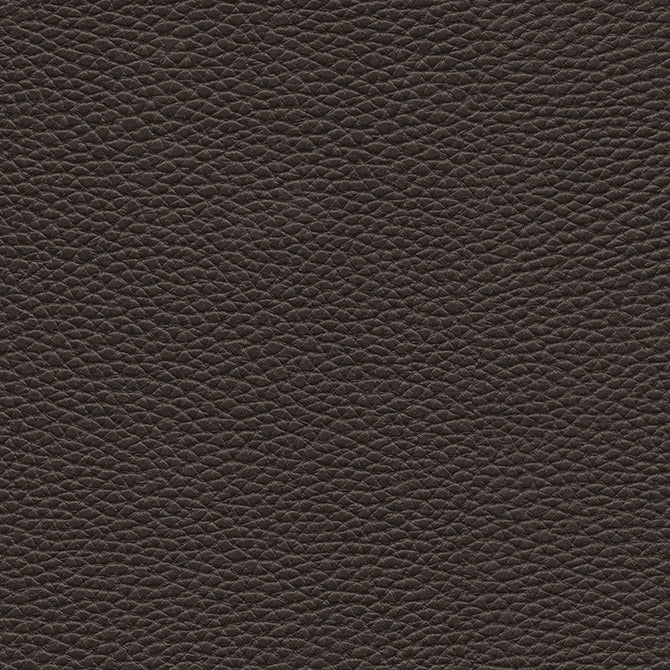 MAXWELL FABRICS  FABRIC  # 147 STAR ANISE   - TU7147