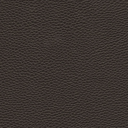 MAXWELL FABRICS  FABRIC  # 147 STAR ANISE   - TU7147