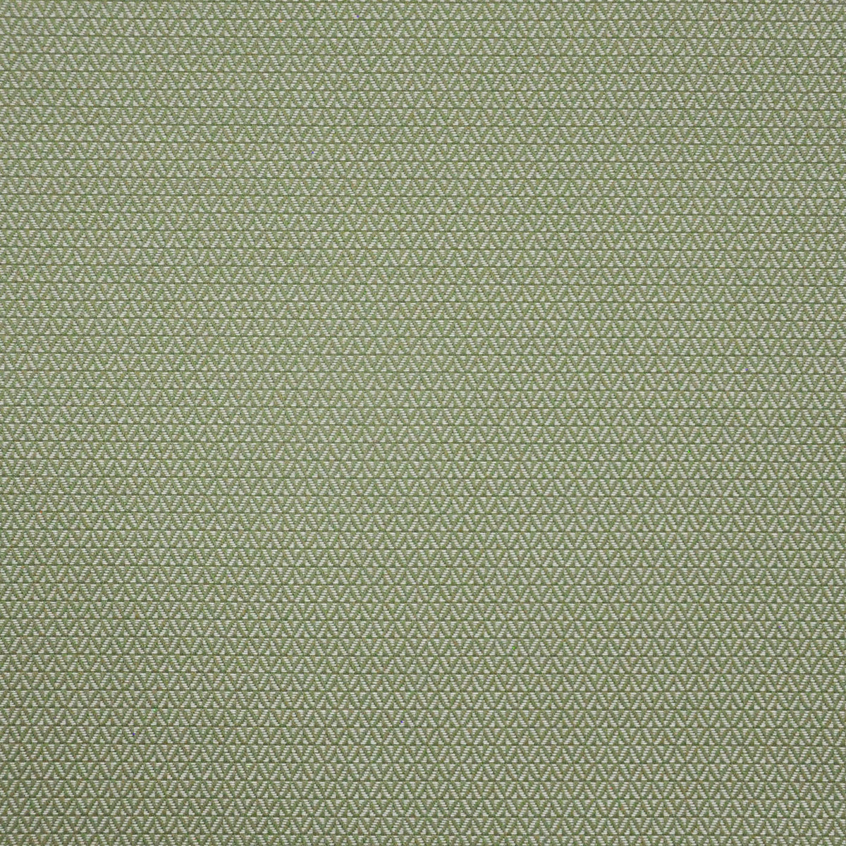 MAXWELL FABRICS  INDOOR,OUTDOOR  # 646 BASIL   - PAE646