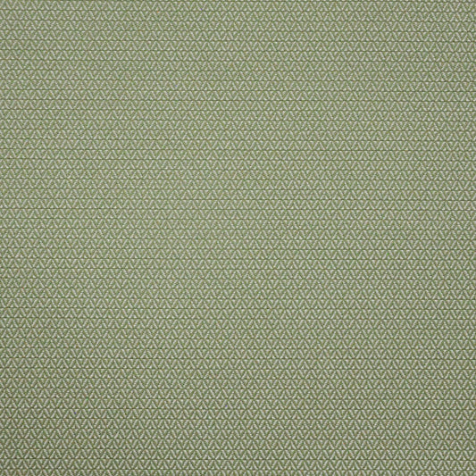 MAXWELL FABRICS  INDOOR,OUTDOOR  # 646 BASIL   - PAE646