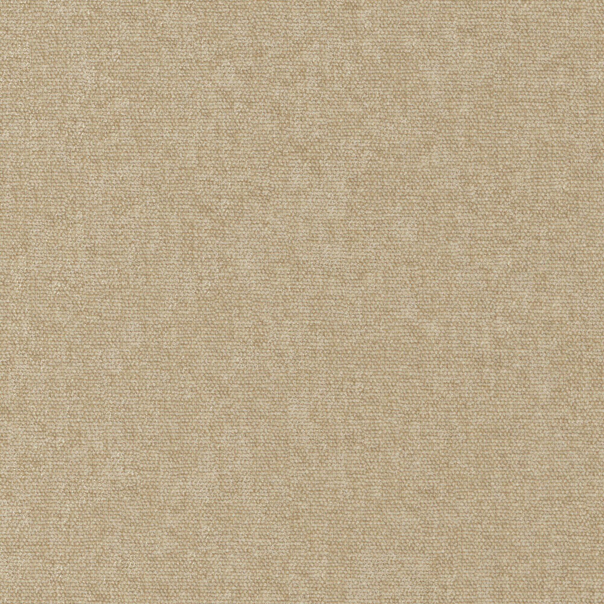 MAXWELL FABRICS  CHENILLES SOLIDS,TEXTURES  # 954 FRESCO   - CHE954