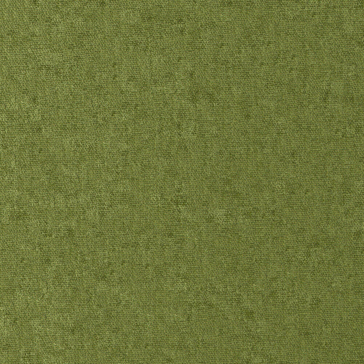 MAXWELL FABRICS  CHENILLES SOLIDS,TEXTURES  # 811 GRASS   - CHE811