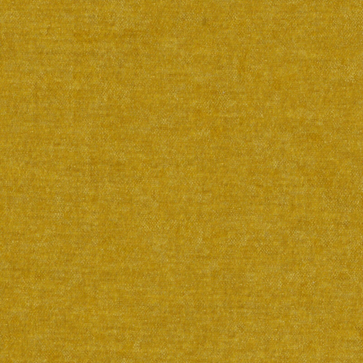 MAXWELL FABRICS  CHENILLES SOLIDS,TEXTURES  # 807 SULPHUR   - AT9807