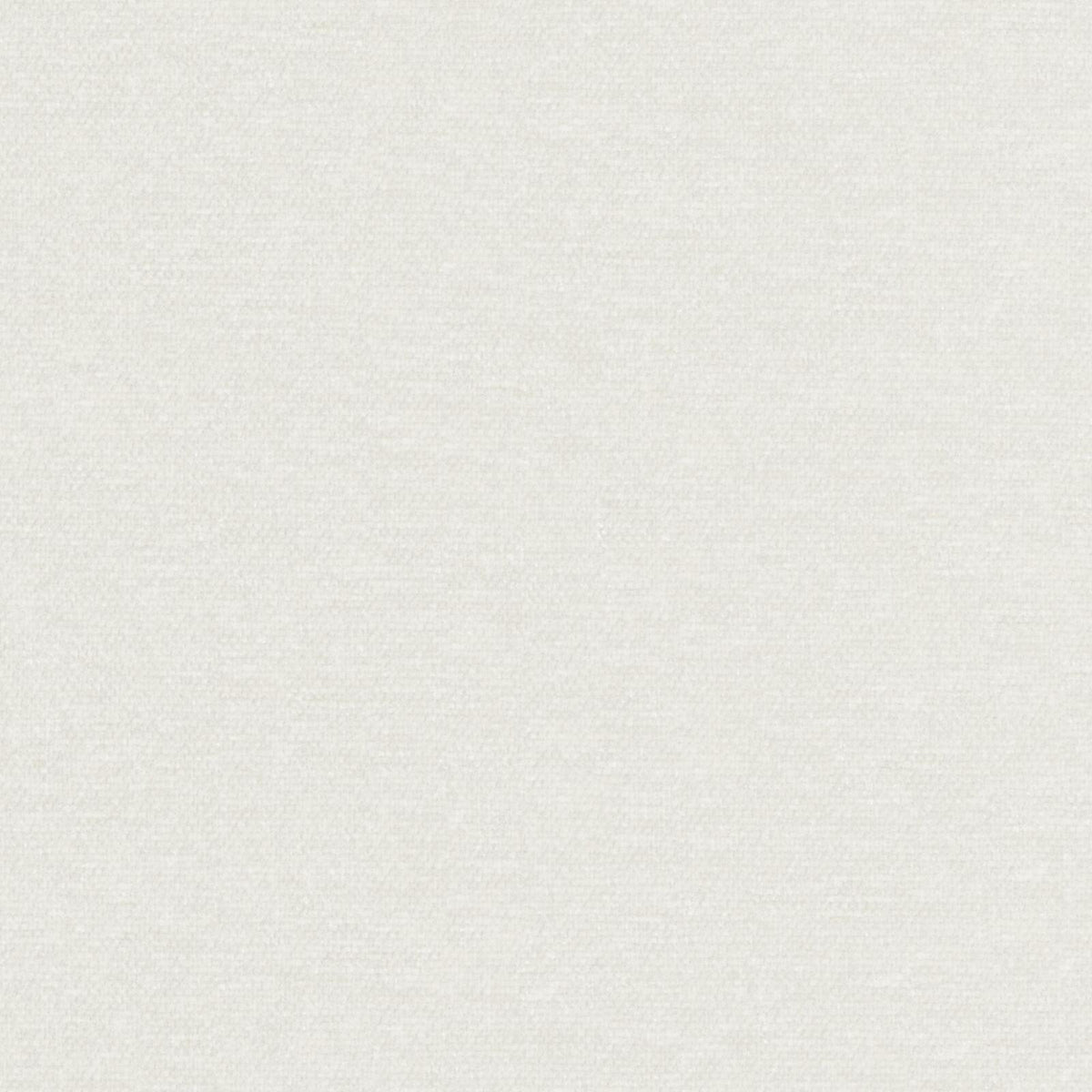 MAXWELL FABRICS  CHENILLES SOLIDS,TEXTURES  # 941 WOOL   - RP0941