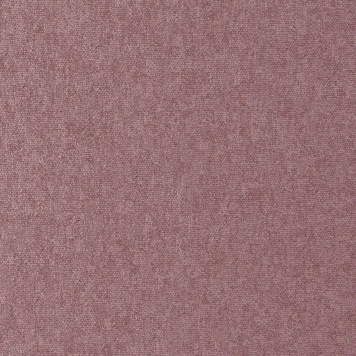 MAXWELL FABRICS  CHENILLES SOLIDS,TEXTURES  # 884 ORCHID   - CHE884