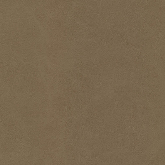 MAXWELL FABRICS  FABRIC  # 935 SAGE   - BEE935