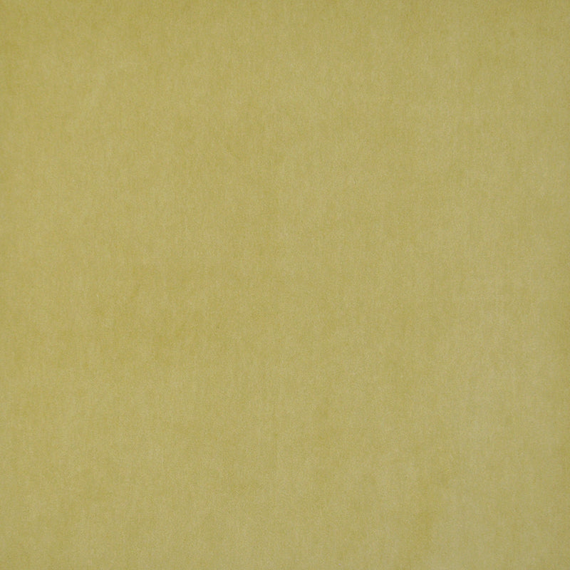 MAXWELL FABRICS  VELVET SOLID,TEXTURE  # 424 CITRON   - SIE424