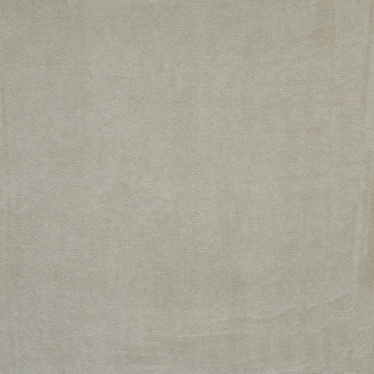 MAXWELL FABRICS  VELVET SOLID,TEXTURE  # 937 FLAX   - VA9937