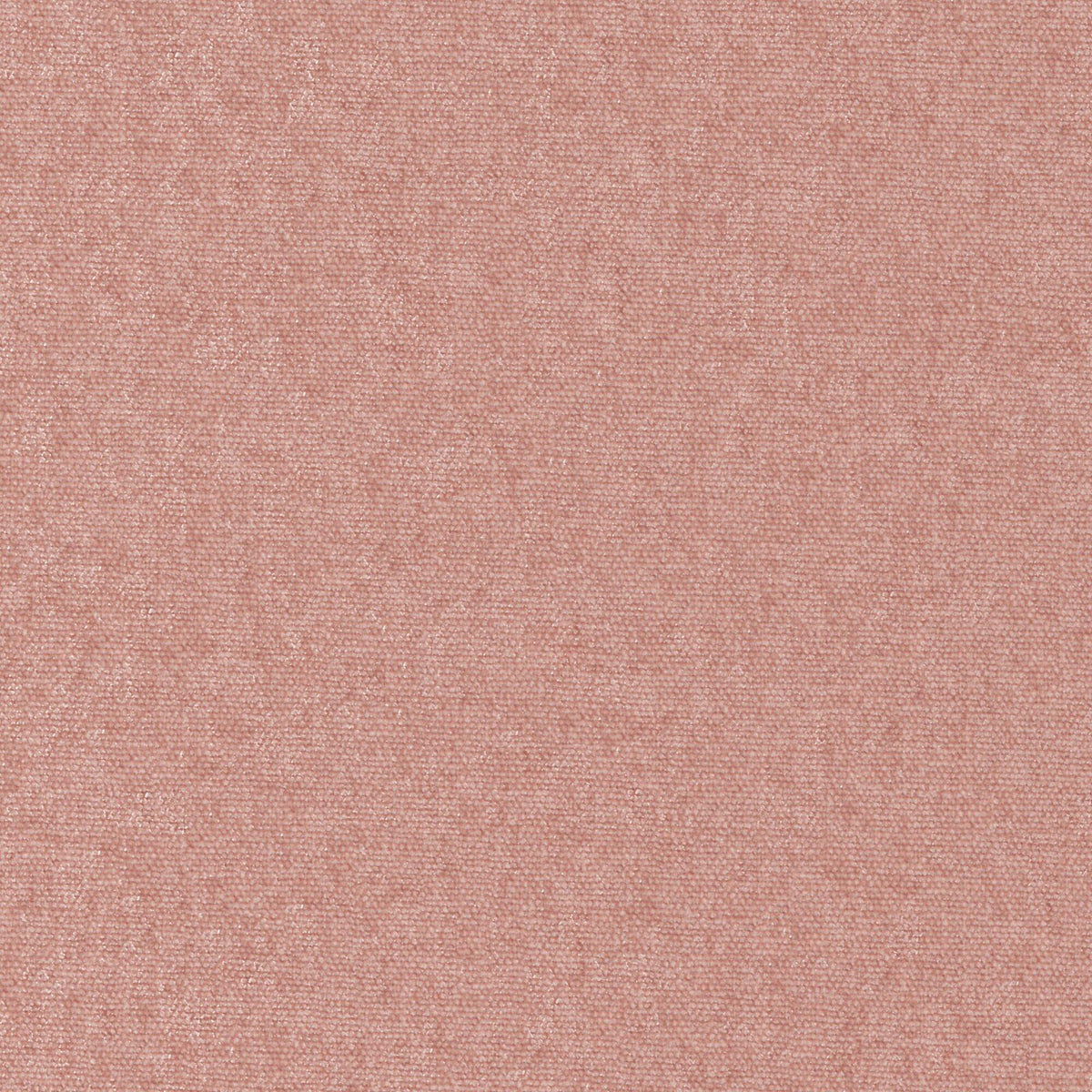 MAXWELL FABRICS  CHENILLES SOLIDS,TEXTURES  # 882 BLOSSOM   - CHE882