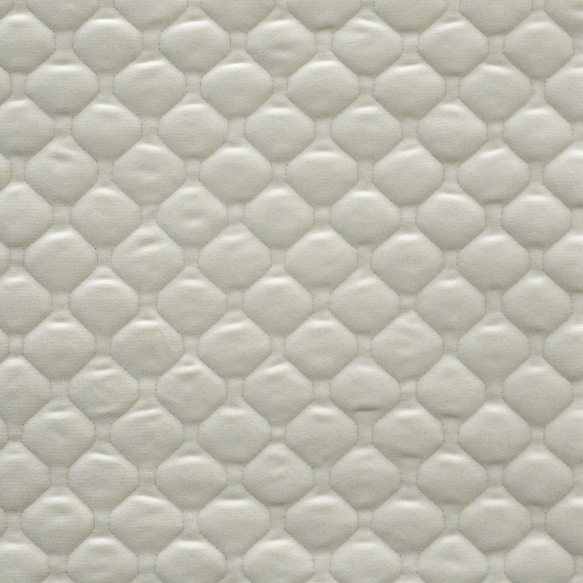 MAXWELL FABRICS  VELVET PATTERN  # 933 MILK   - AR7933