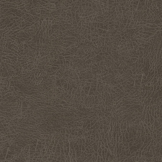 MAXWELL FABRICS  CONTRACT FABRIC  # 135 TRUFFLE   - BDY135