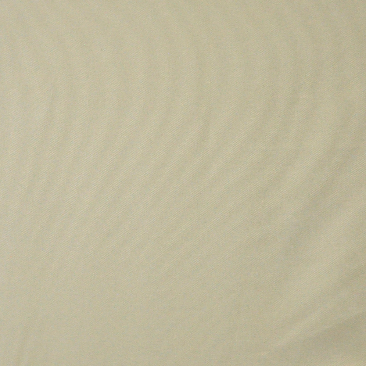 MAXWELL FABRICS  SHEER SOLID,TEXTURE  # 620 MARROW   - LQ3620
