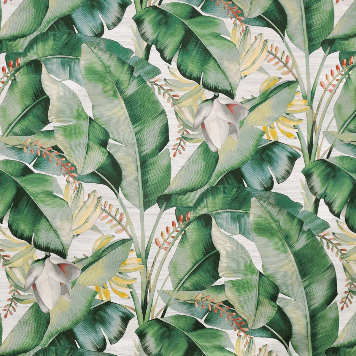 MAXWELL FABRICS  PRINTS  # 521 ALOE   - K94521