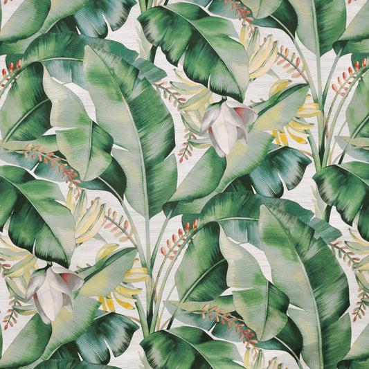MAXWELL FABRICS  PRINTS  # 521 ALOE   - K94521