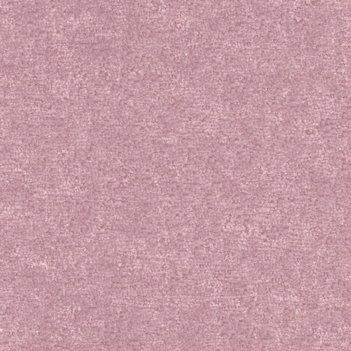 MAXWELL FABRICS  CHENILLES SOLIDS,TEXTURES  # 828 BOUDOIR   - BFA828