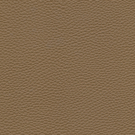 MAXWELL FABRICS  FABRIC  # 145 COCONUT   - TU7145