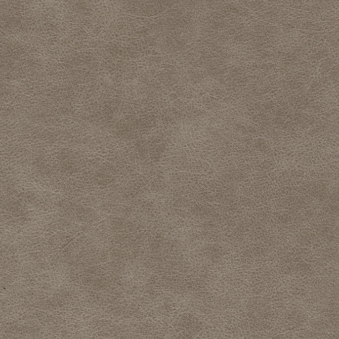 MAXWELL FABRICS  FABRIC  # 704 MOLLUSK   - HK6704