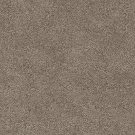 MAXWELL FABRICS  FABRIC  # 704 MOLLUSK   - HK6704