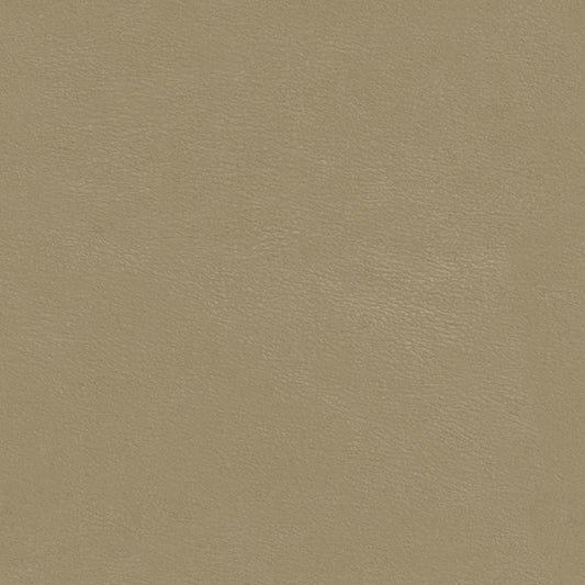 MAXWELL FABRICS  FABRIC  # 786 GROUND   - SMZ786