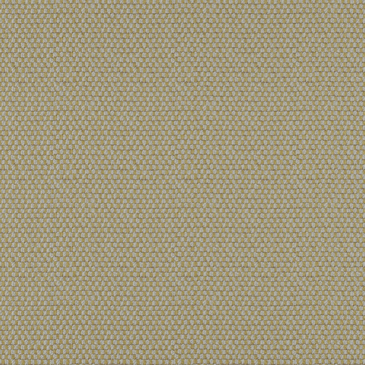MAXWELL FABRICS  UPHOLSTERY SOLID,TEXTURES  # 613 MOSS   - TQ9613