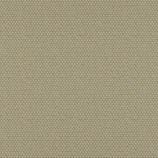 MAXWELL FABRICS  UPHOLSTERY SOLID,TEXTURES  # 613 MOSS   - TQ9613