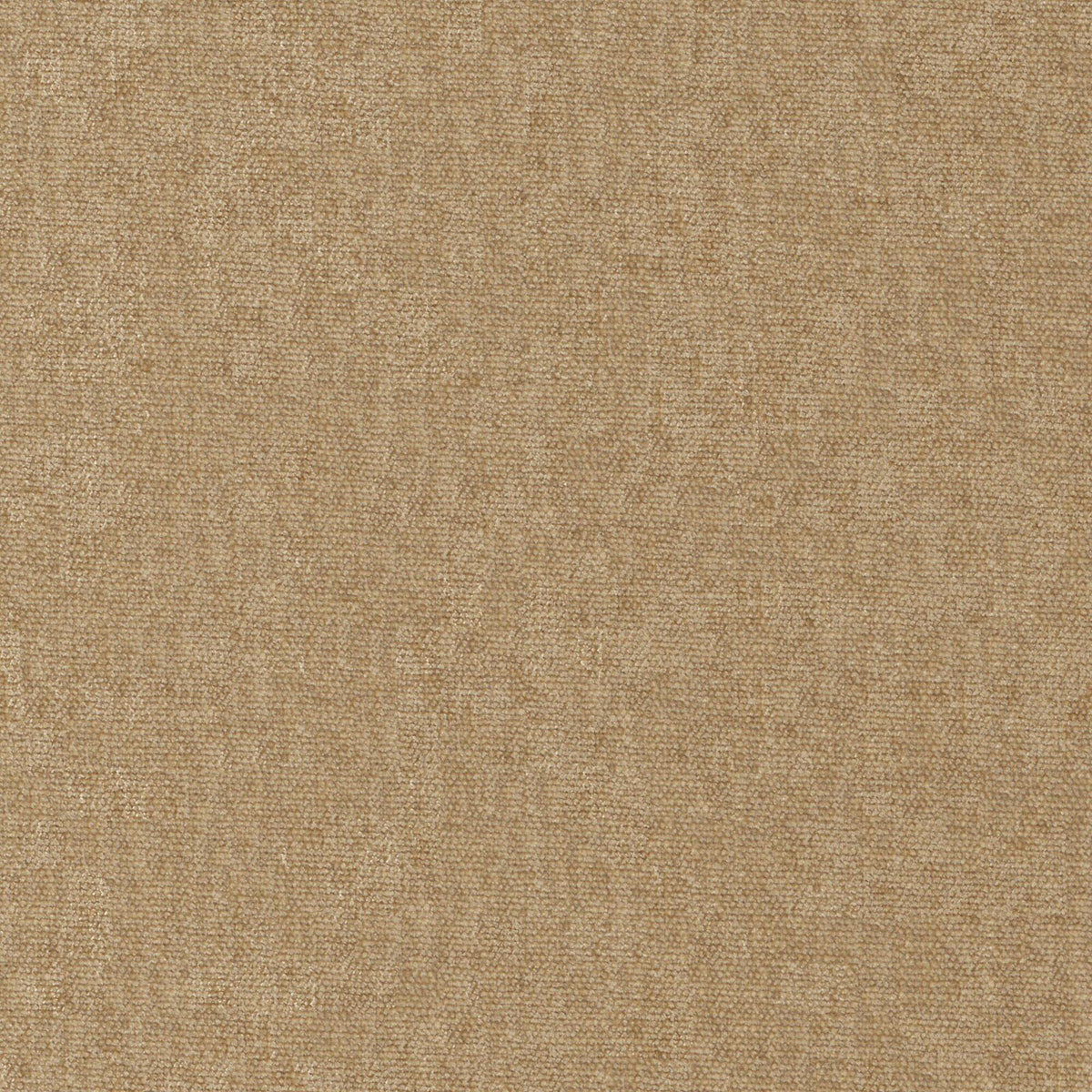 MAXWELL FABRICS  CHENILLES SOLIDS,TEXTURES  # 951 BUFF   - CHE951