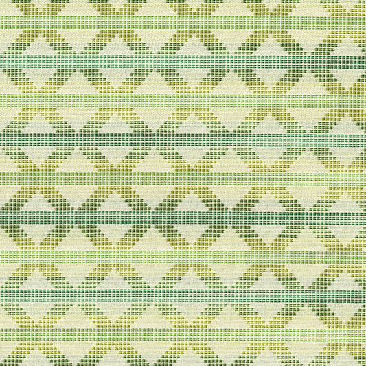MAXWELL FABRICS  UPHOLSTERY SOLID,TEXTURES  # 209 ARBORETUM   - CIK209