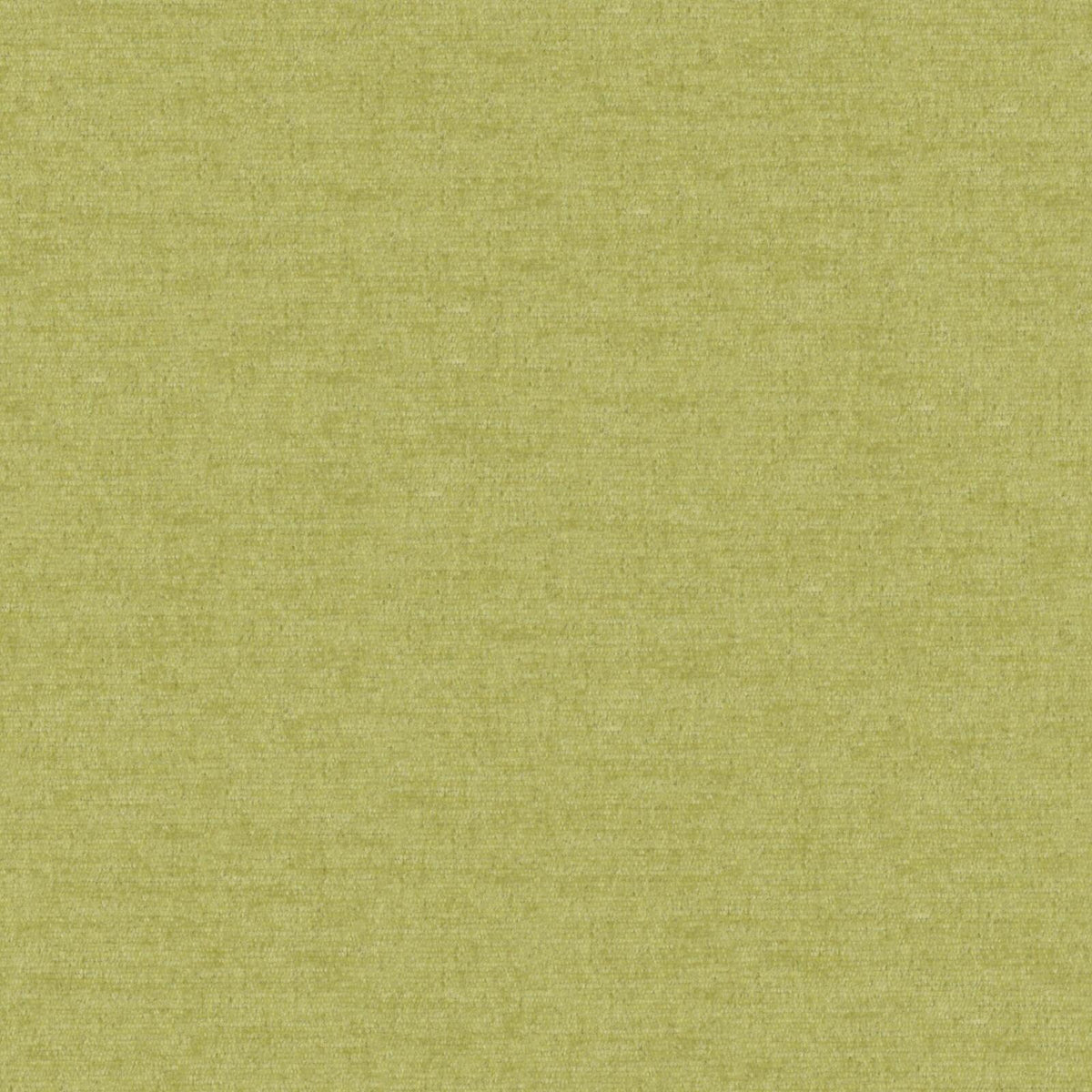 MAXWELL FABRICS  CHENILLES SOLIDS,TEXTURES  # 809 THYME   - PZ7809