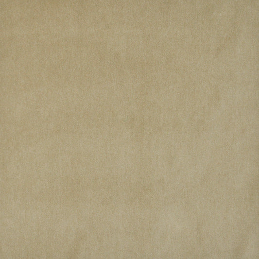 MAXWELL FABRICS  VELVET SOLID,TEXTURE  # 428 FAWN   - SIE428