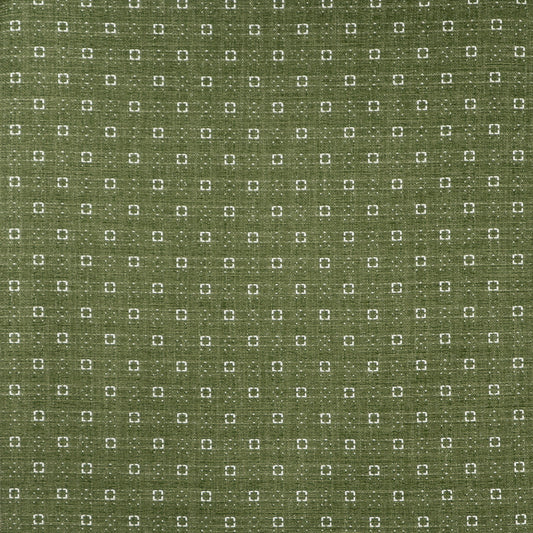MAXWELL FABRICS  UPHOLSTERY PATTERNS  # 641 SPROUT   - HM9641
