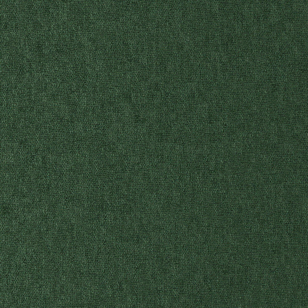 MAXWELL FABRICS  CHENILLES SOLIDS,TEXTURES  # 818 BALSAM   - CHE818
