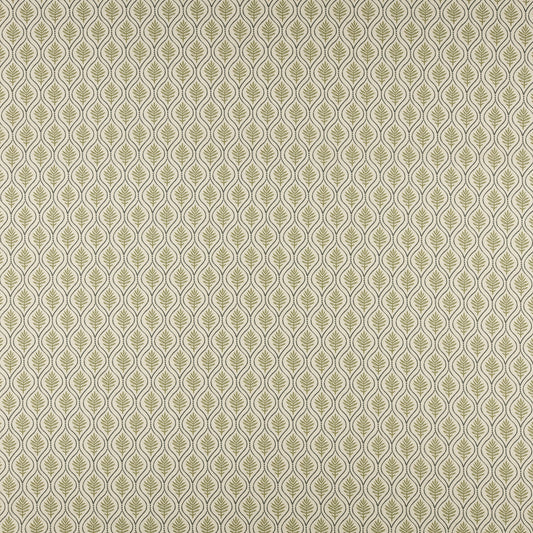 MAXWELL FABRICS  PRINTS  # 505 OLIVE   - BFF505